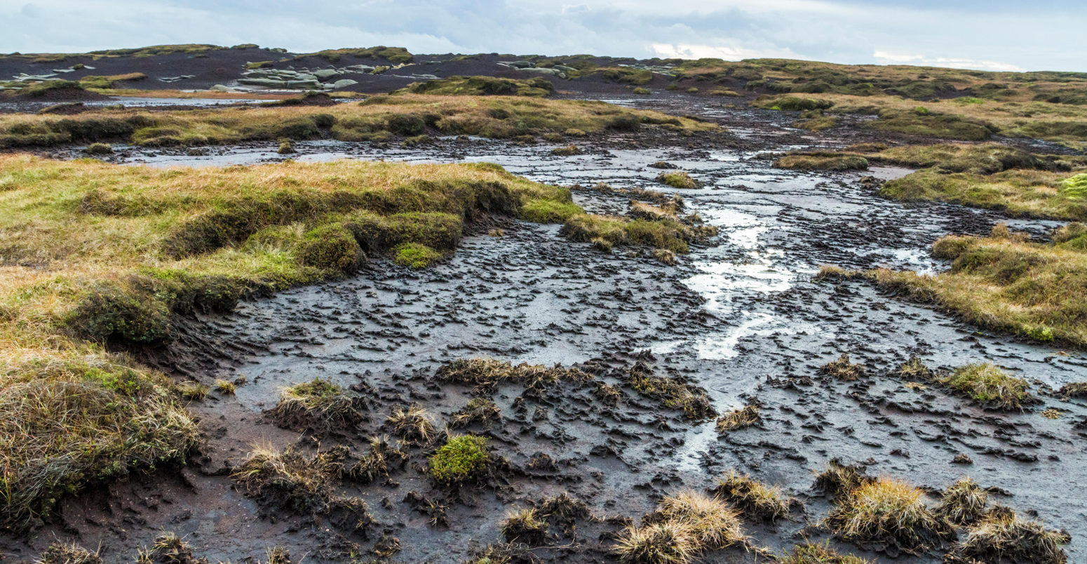 Blanket peat bog moorland on Kinder Scout