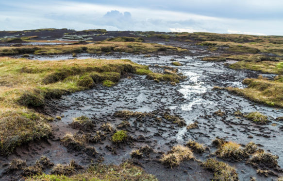 Blanket peat bog moorland on Kinder Scout
