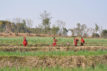 Women and children walking in the fields
