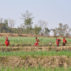 Women and children walking in the fields