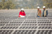 Workers-at-a-1MW-solar-power-station-run-by-Tata-Power-on-the-roof-of-an-electricity-company-in-Delhi,-India