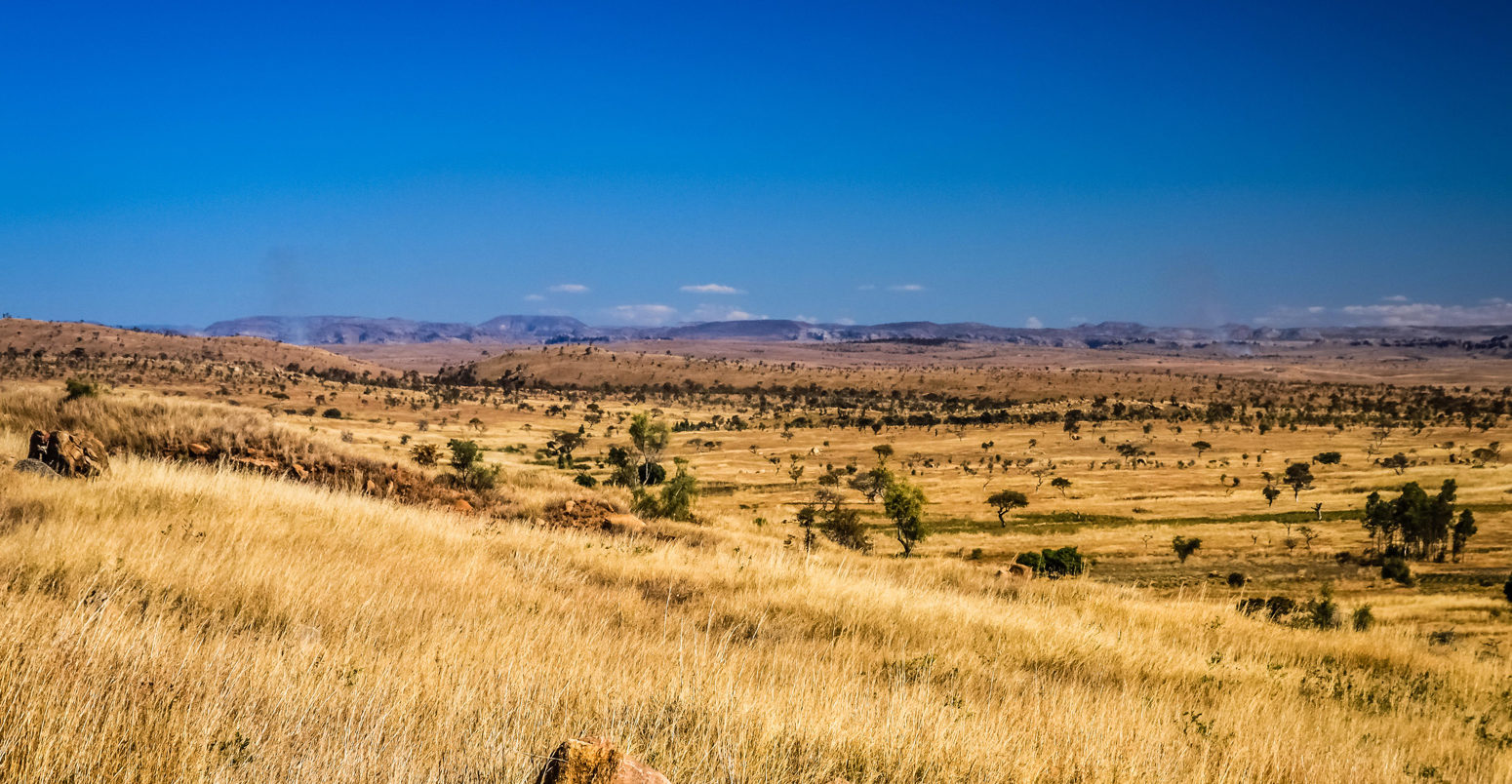 Dry grassland in Madagascar