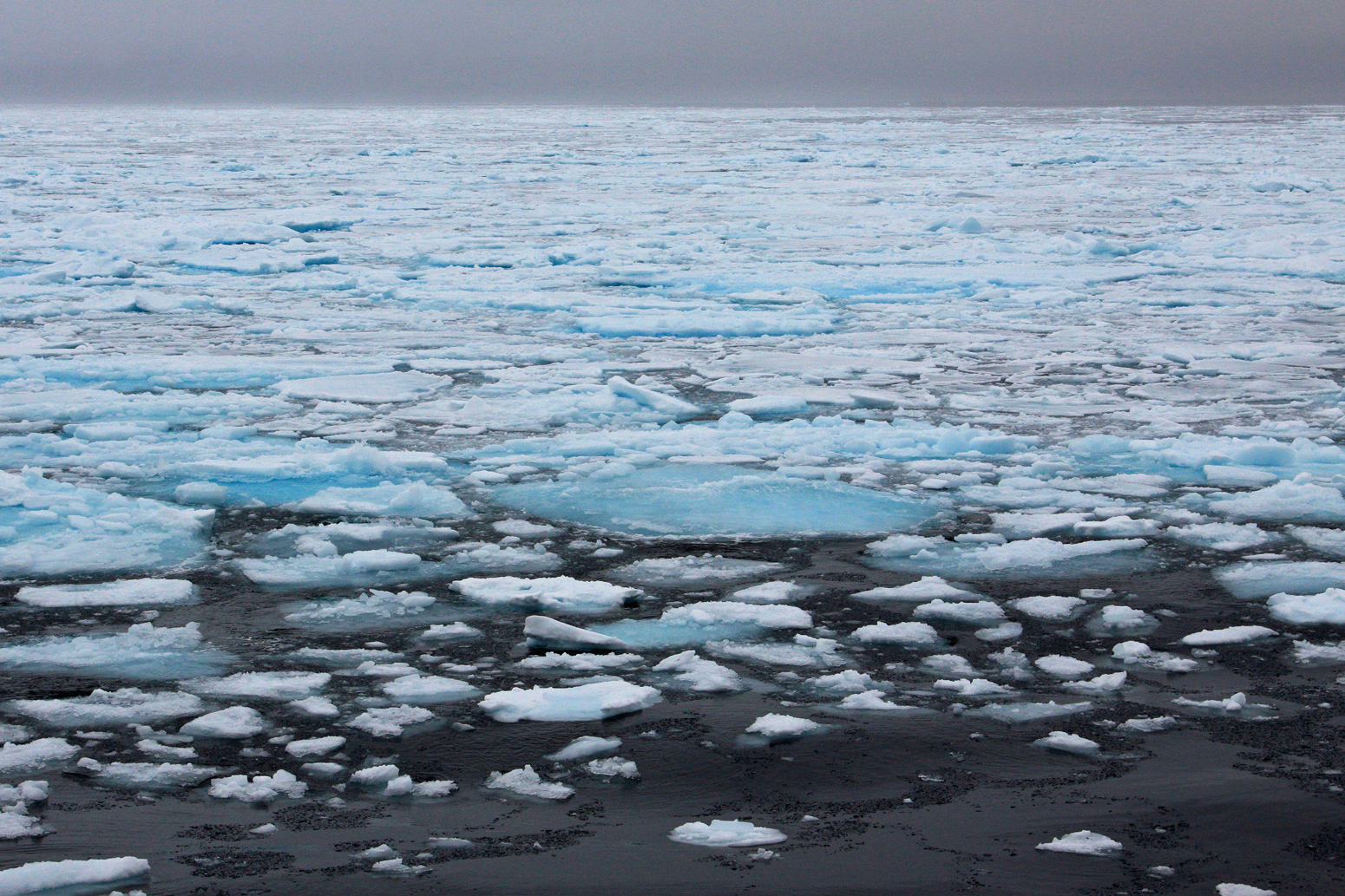 Как меняется природа арктических морей с запада. Arctic Sea Ice. Полярное море. Лед на море. Арктическое море весной.