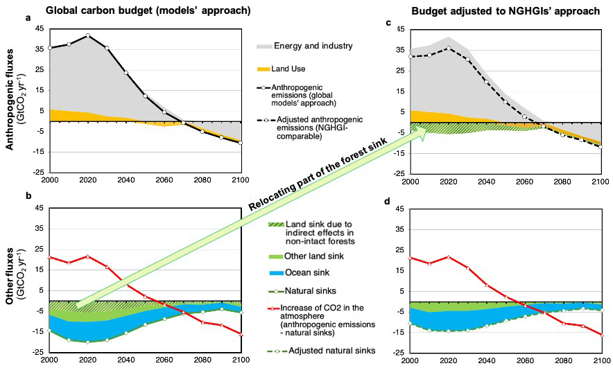 Adjusting modelled IAMs land CO2 fluxes to be comparable to the NGHGI approach