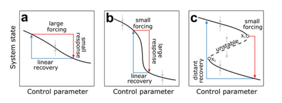 Possible responses of a system to a perturbation in a control parameter