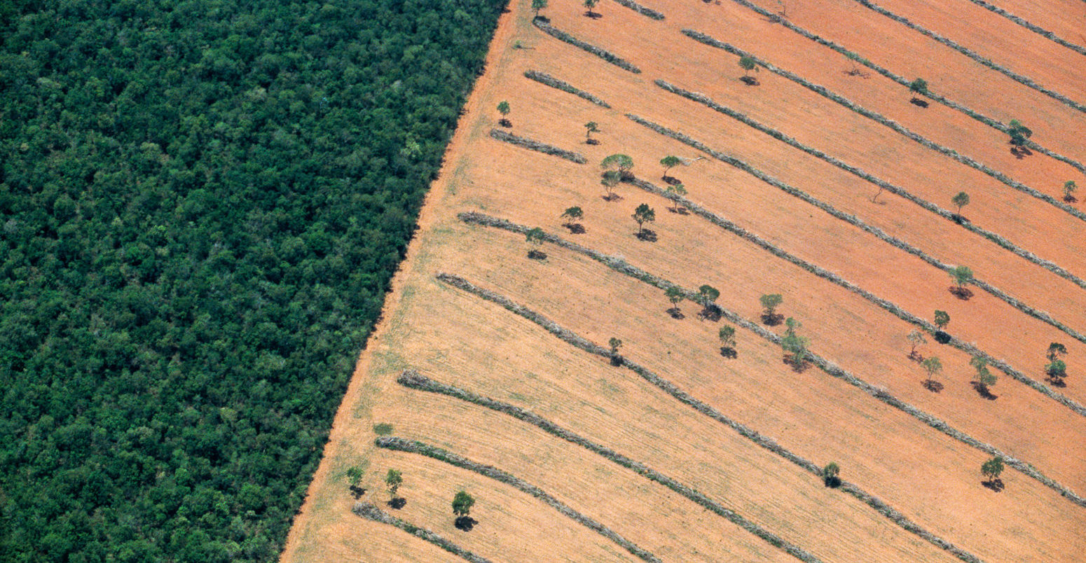 Aerial-view-of-tropical-deforestation-Mato-Grosso-do-Sul-Pantanal,-Brazi