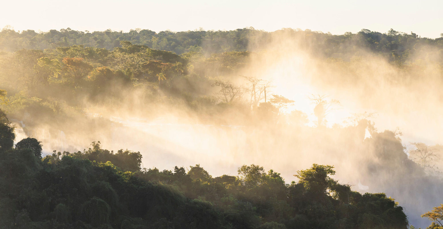 Forest and water vapour, Iguazu National Park in Brazil