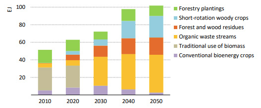 Global bioenergy supply by source in the NZE