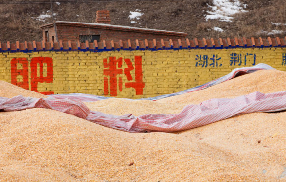 Maize store in Heilongjiang Province Northern China