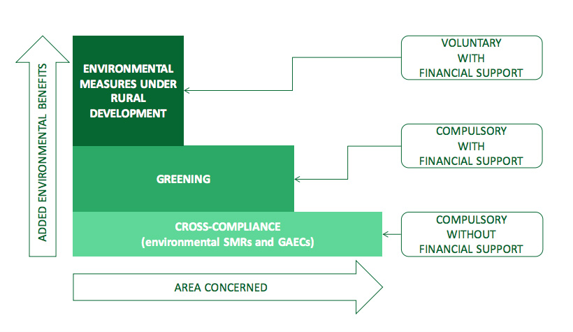 Structure of CAP investment instruments. 