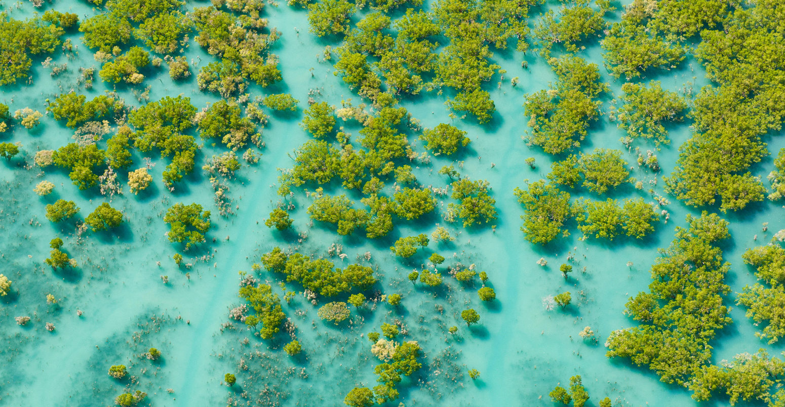 Aerial of mangroves at King Sound, Australia