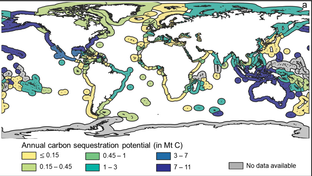 Guest post: Mapping 'blue-carbon wealth' around the world - Carbon Brief