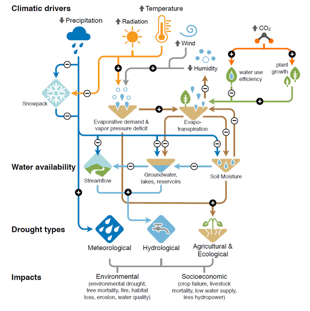 Climatic drivers of drought, effects on water availability, and impacts IPCC