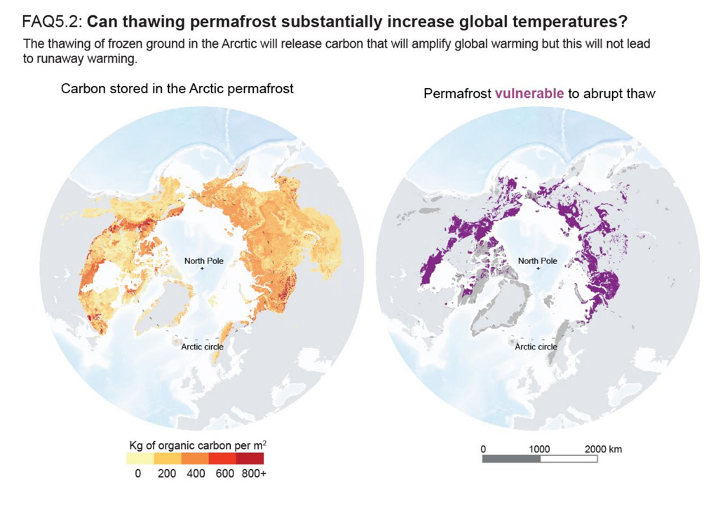 Quantity of carbon stored in the permafrost IPCC