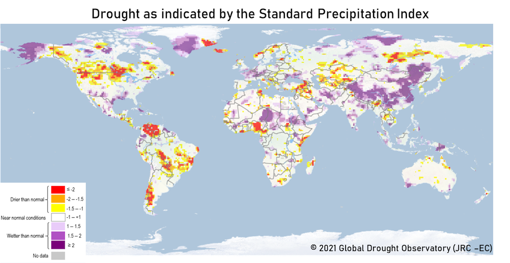 Drought conditions as indicated by the Standard Precipitation Index for August 2021.png