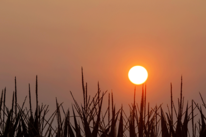 Sunset in Henry County, Iowa, with haze and smoke from forest fires