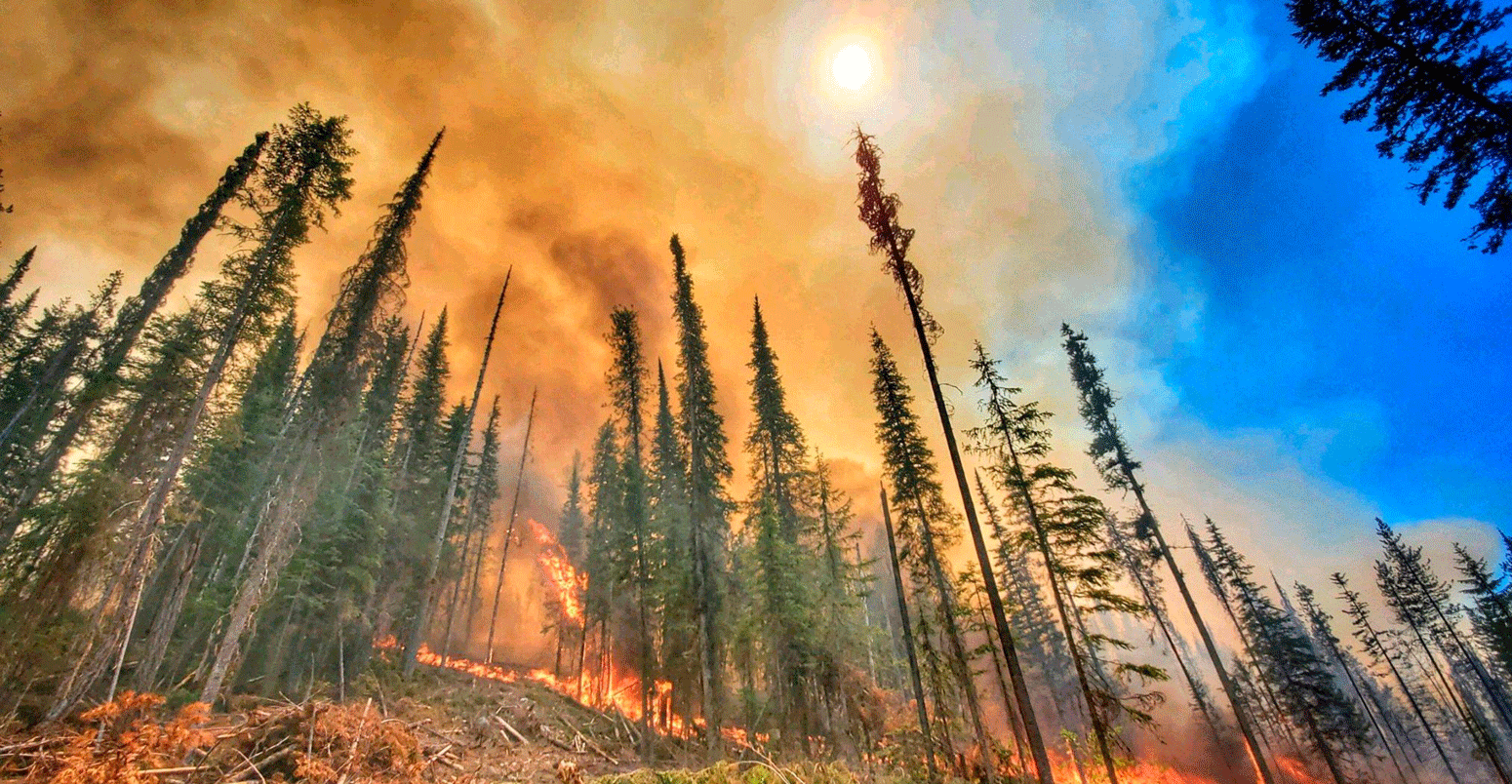 A wildfire burns through forests at the Summit Trail Fire in the Colville Reservation, Washington