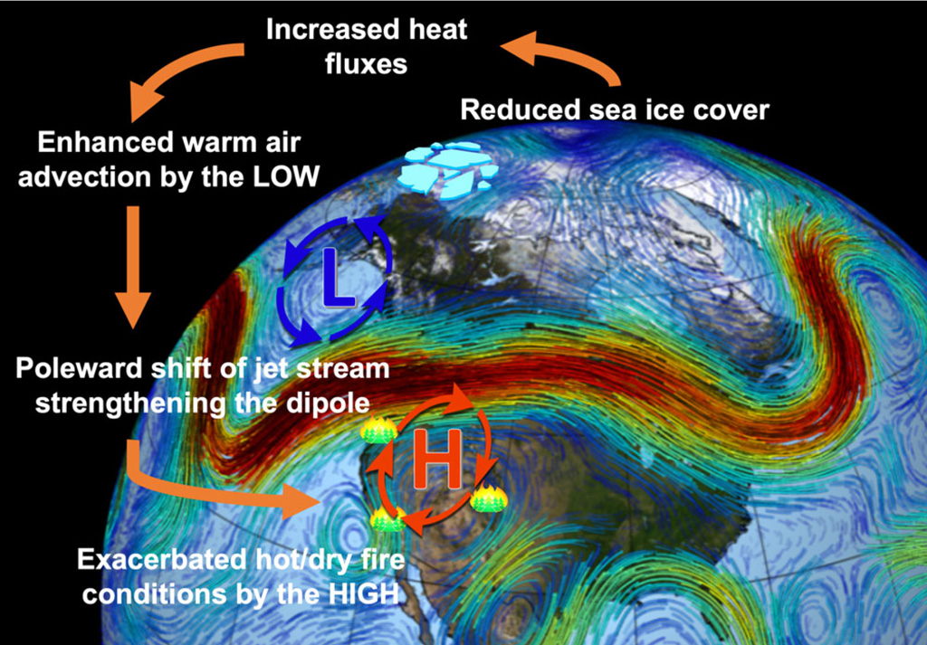 An Arctic-driven teleconnection