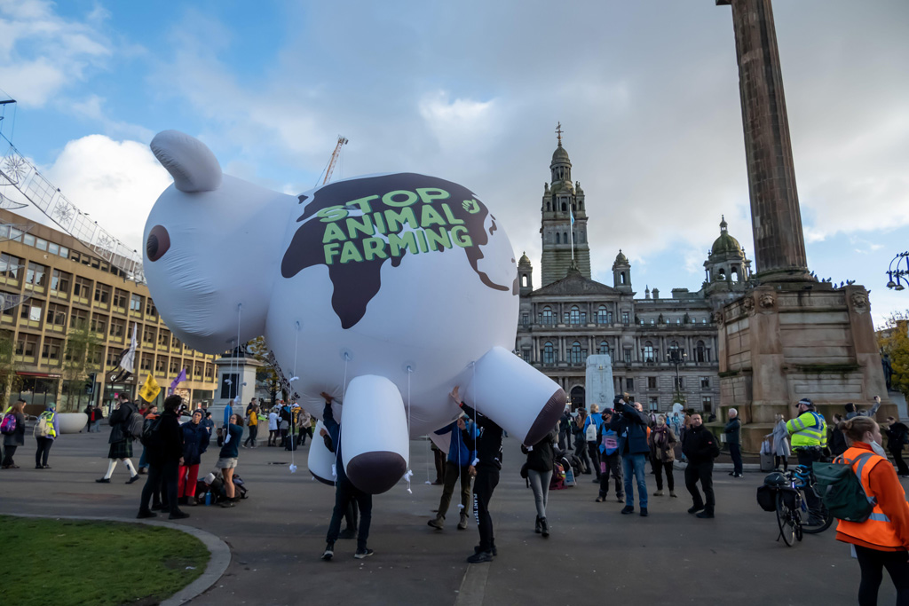 Climate change campaigners in George Square holding an inflatable animal saying Stop Animal Farming on day ten of COP26