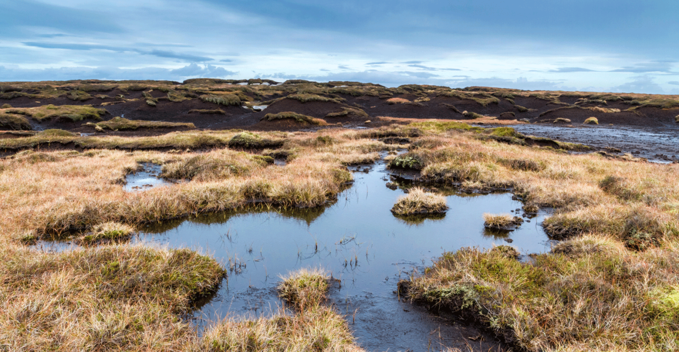 Guest post Are the world’s peatlands better protected after COP26