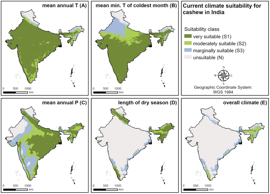 Maps of India showing the current climate suitability for cashew-growing based on (a) mean annual temperature, (b) mean minimum temperatures for the coldest month, (c) mean annual precipitation, (d) length of the dry season and (e) overall climate, a composite of the lowest suitability of the previous four variables for each area