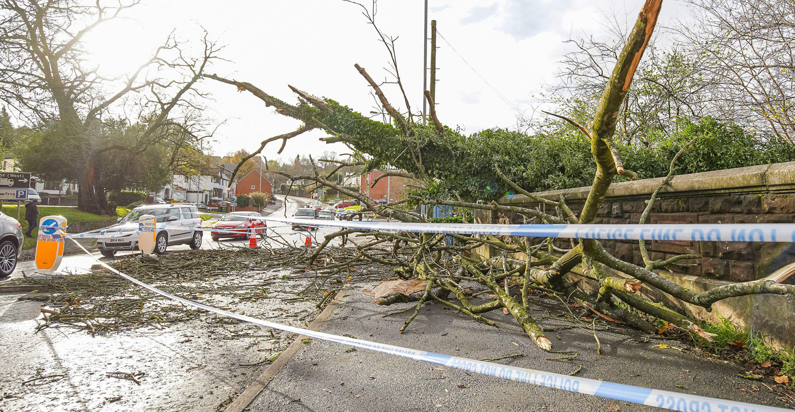 Storm Arwen leaves a trail of destruction as trees are brought down in the strong winds, November 2021