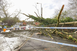 Storm Arwen leaves a trail of destruction as trees are brought down in the strong winds, November 2021