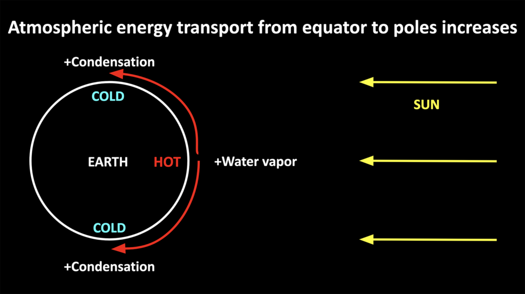 Simplified diagram of transport of water vapour from the equator to the poles. Credit: Matthew Henry