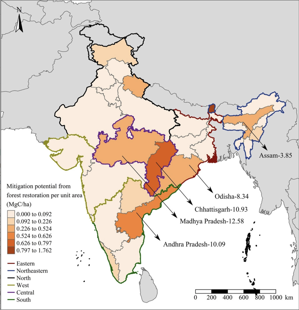 Guest post: How much could restoring forests reduce India’s emissions?