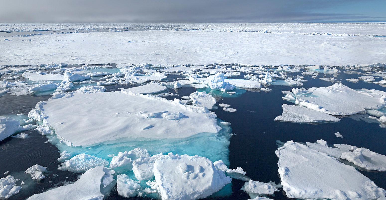 Ice floes near Svalbard, Norway. Credit: Naturfoto-Online / Alamy Stock Photo.