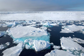 Ice floes near Svalbard, Norway. Credit: Naturfoto-Online / Alamy Stock Photo.