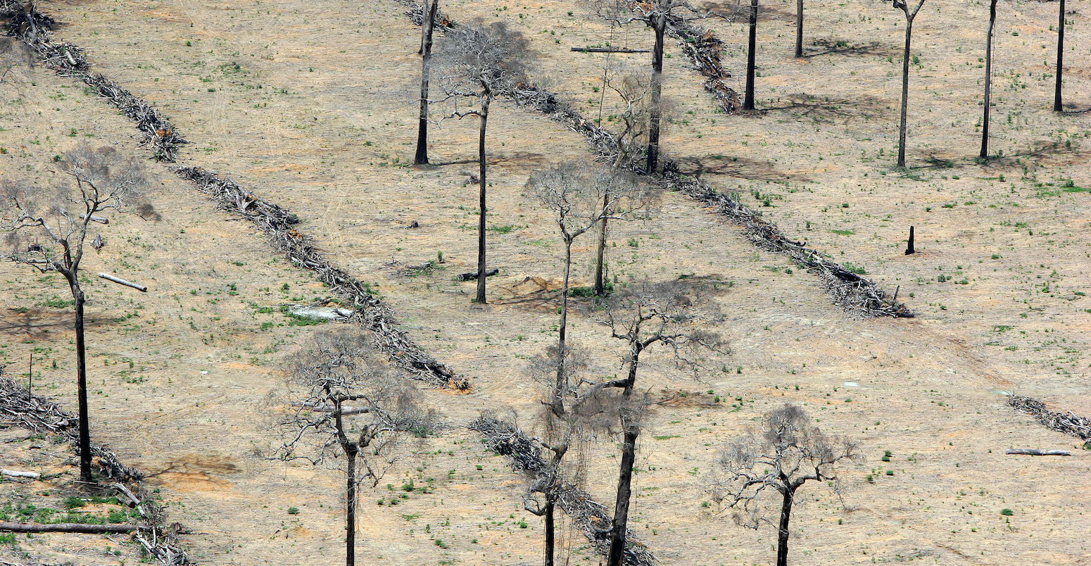 Amazon rain forest clearance for agriculture in Brazil_