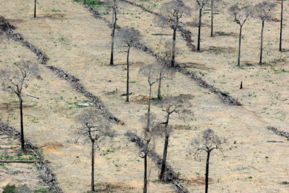 Amazon rain forest clearance for agriculture in Brazil_