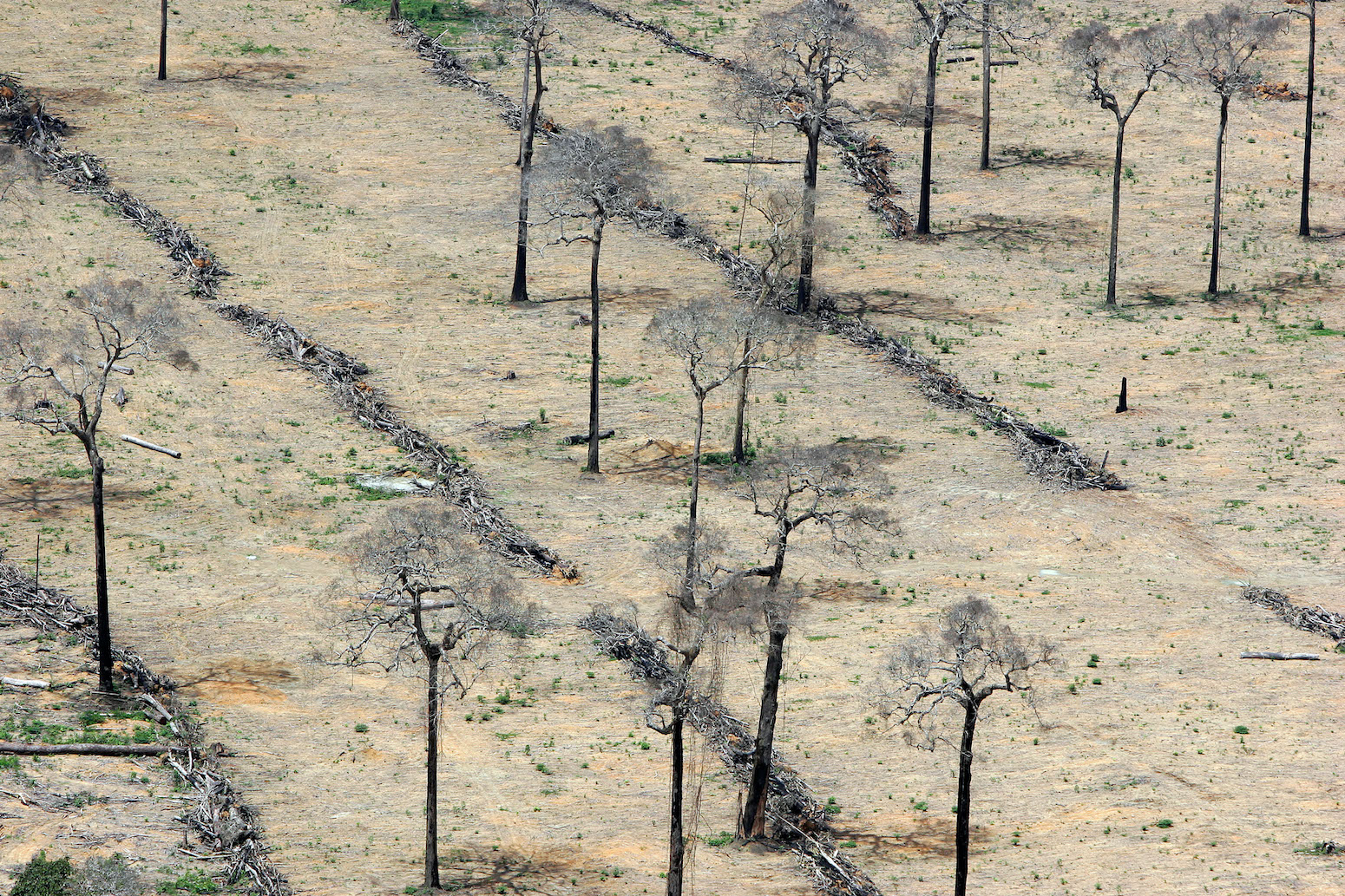 Land managers options 2013