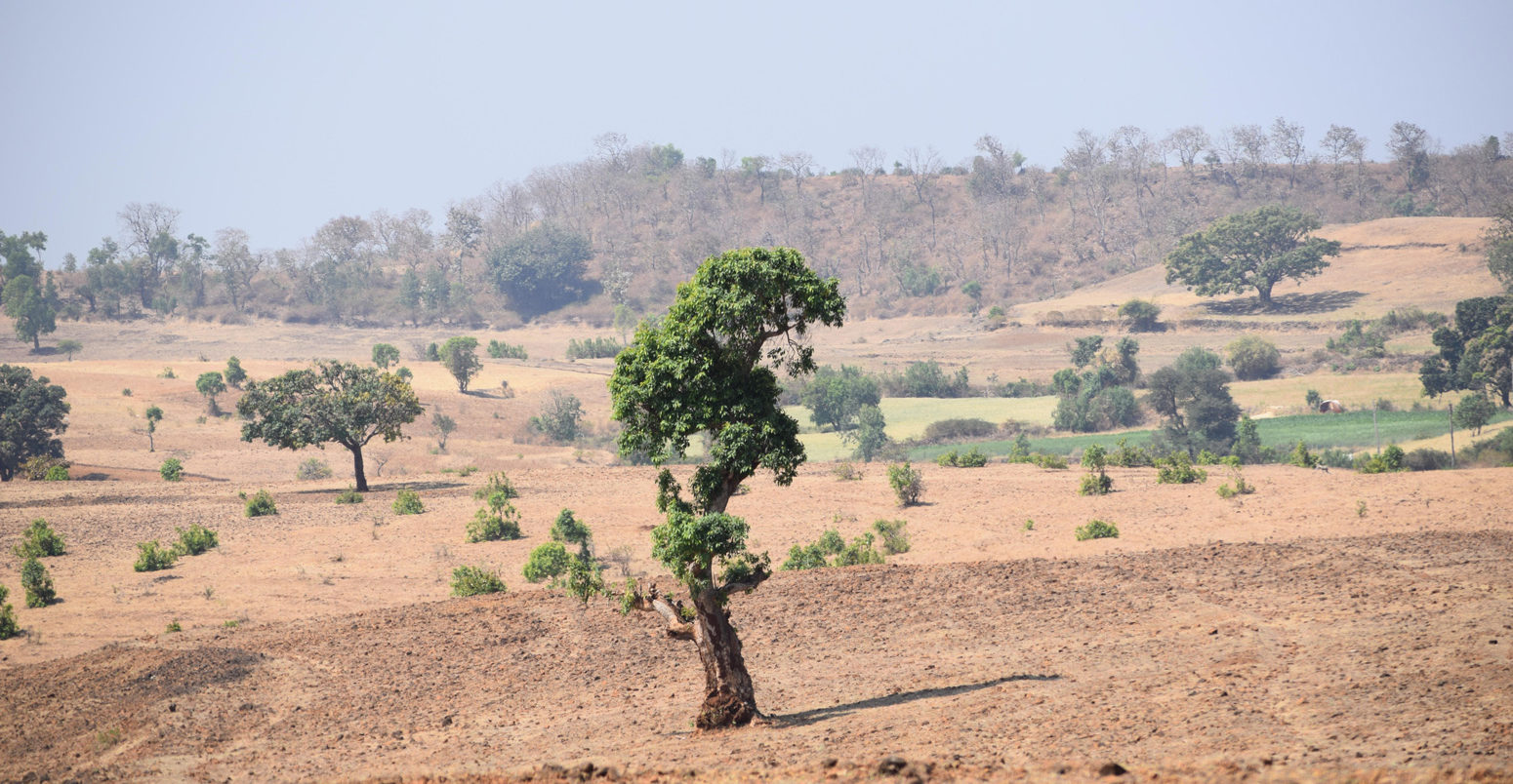 Deforestation of an area that used to be a jungle in Satpuda ranges, India