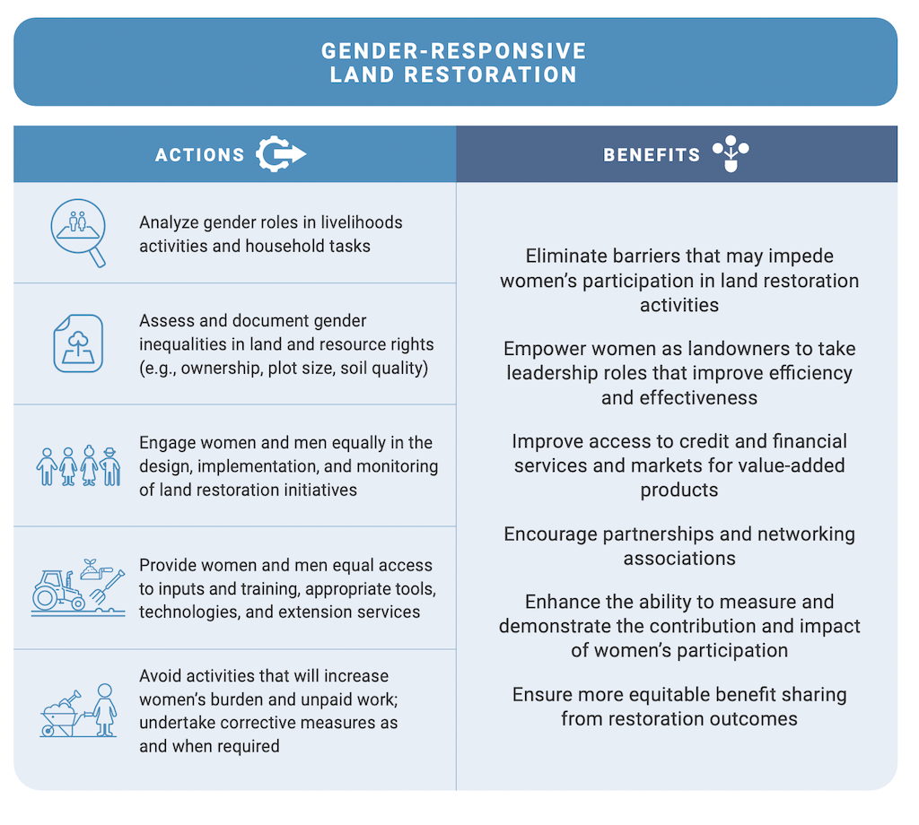 The elements of gender-responsive land restoration identified by the UNs new Global Land Outlook 2