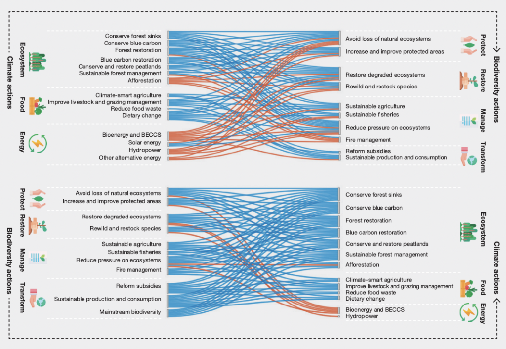 How actions to tackle climate change and biodiversity loss interact