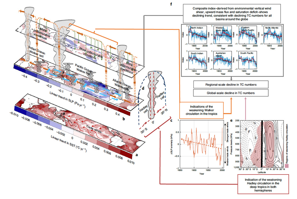 The hypothesised link between anthropogenic-induced global warming and associated reduction in annual tropical cyclone numbers