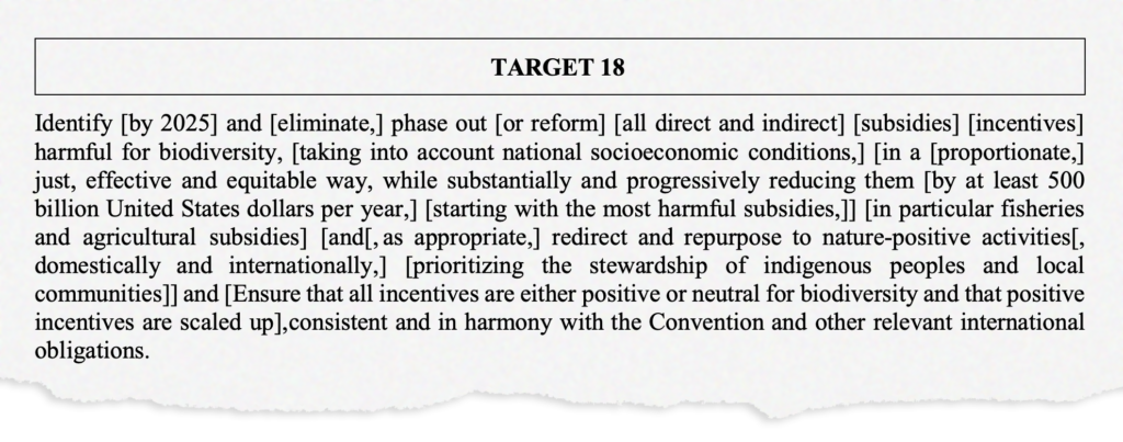 The draft wording of Target 18 of the Global Biodiversity Framework at the end of the Nairobi nature talks. Courtesy: UN Biodiversity (2022).