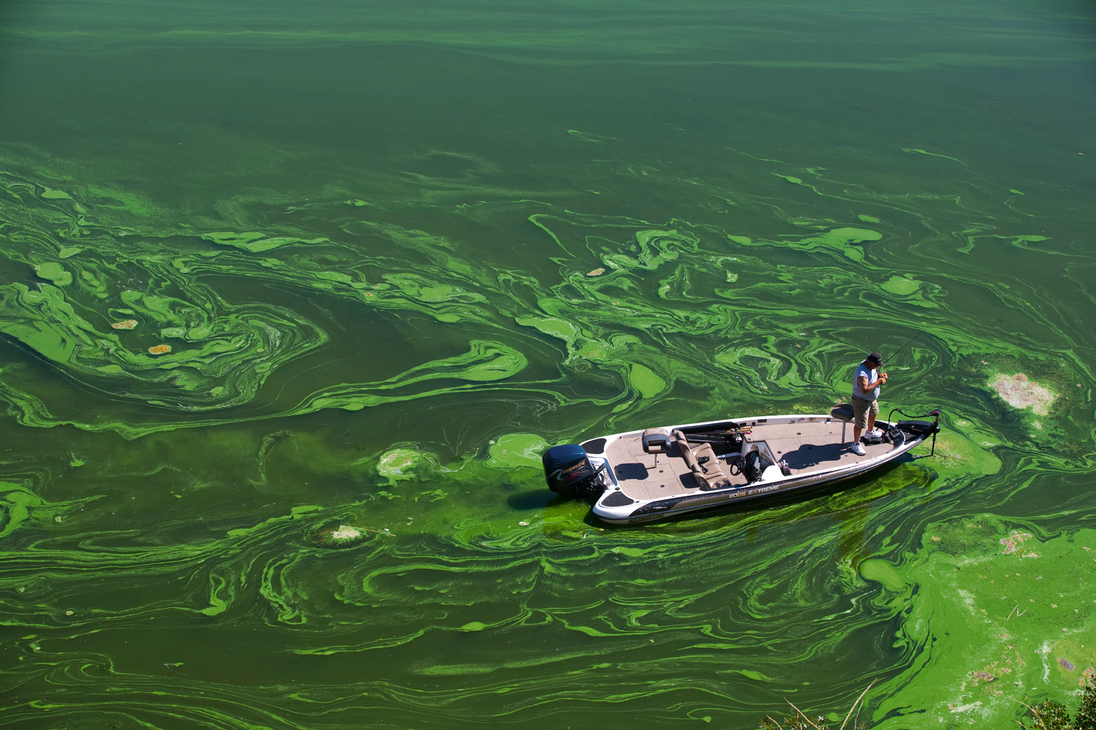 A fisherman in a toxic blue algae bloom in Copco Reservoir, Northern California