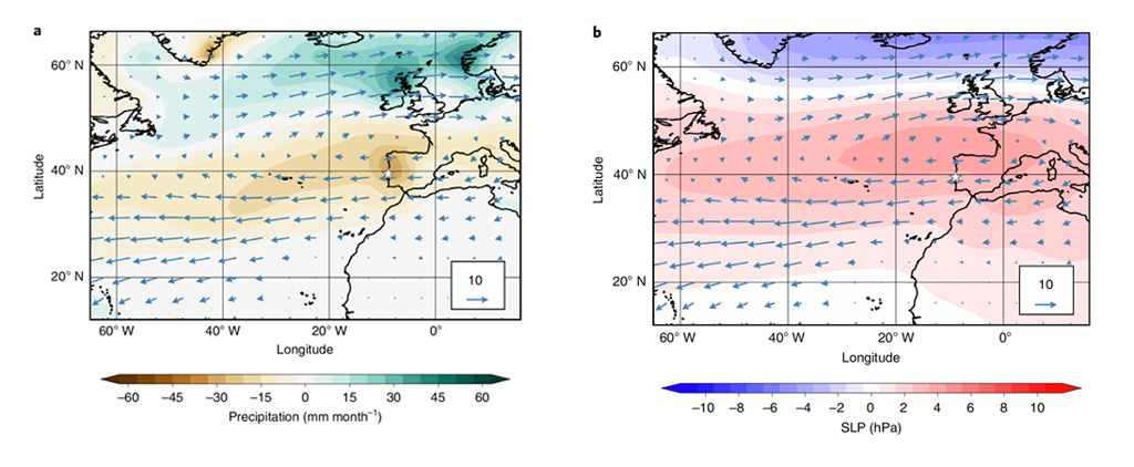 Precipitation and sea level pressure during a winter with an extremely large Azores high