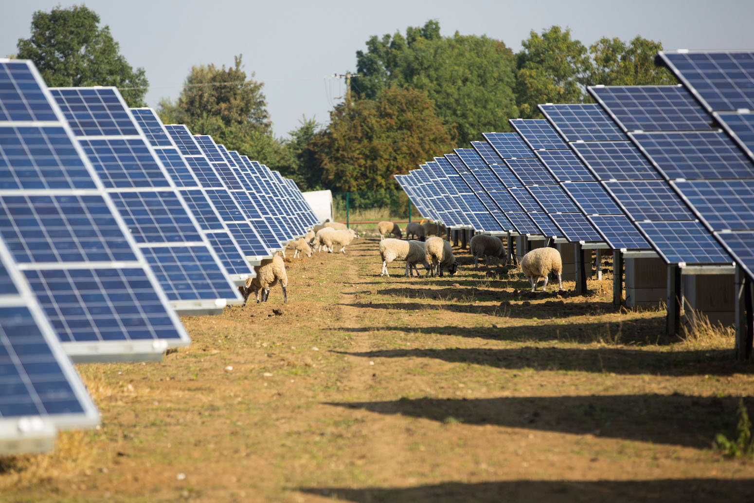 Solar Park Lighting for new Community Space