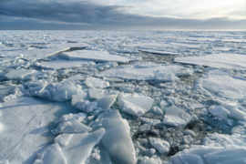 Broken pieces of Arctic sea ice north of Svalbard