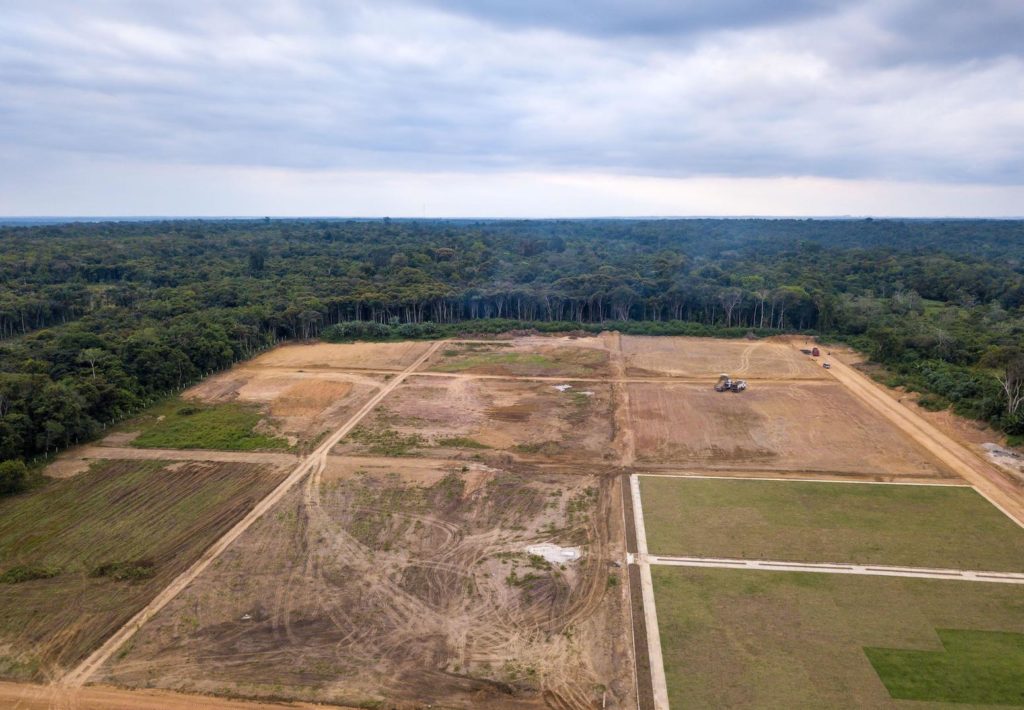 Deforestation in Amazon rainforest