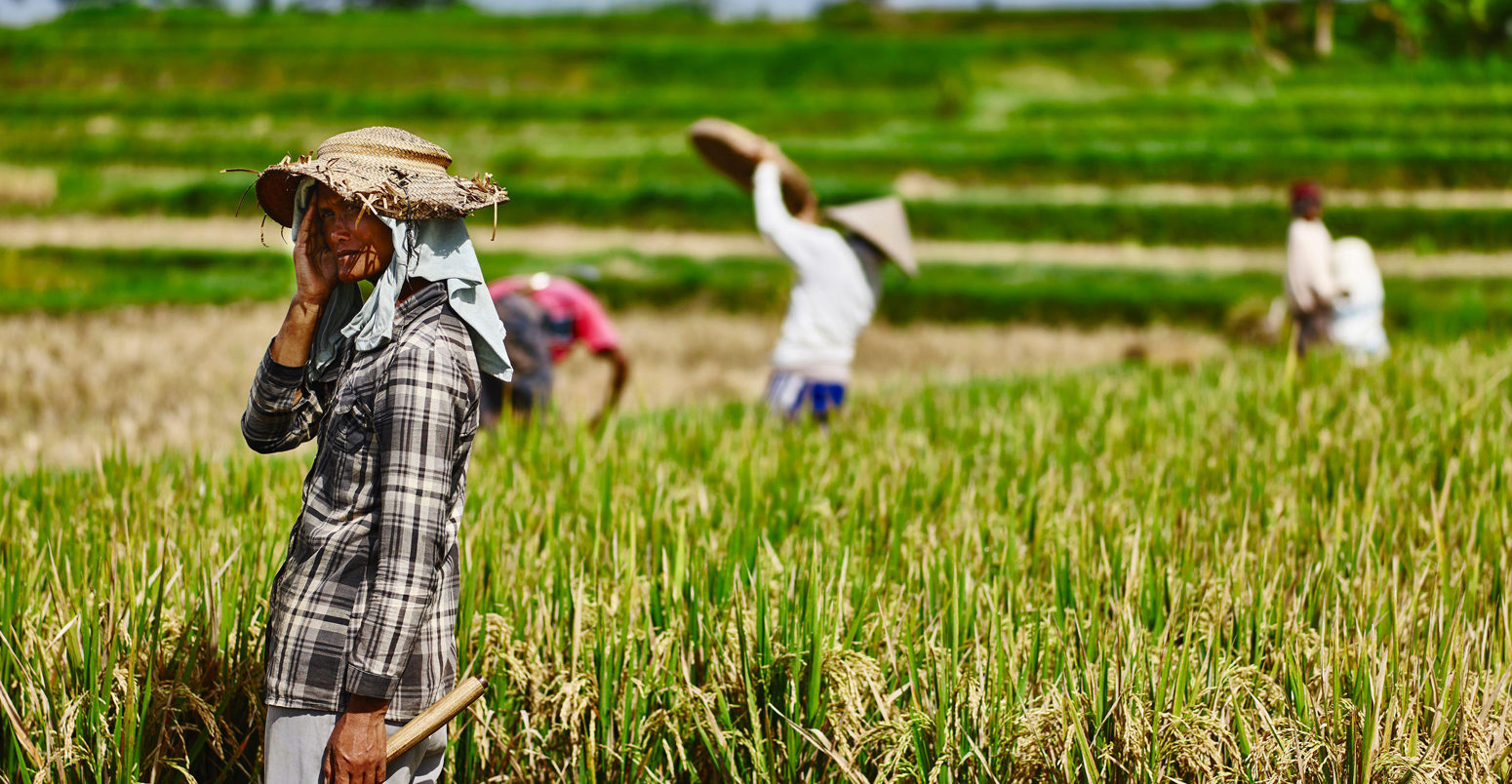 ‘Poor tropical regions’ suffer greatest economic damage from worsening heatwaves