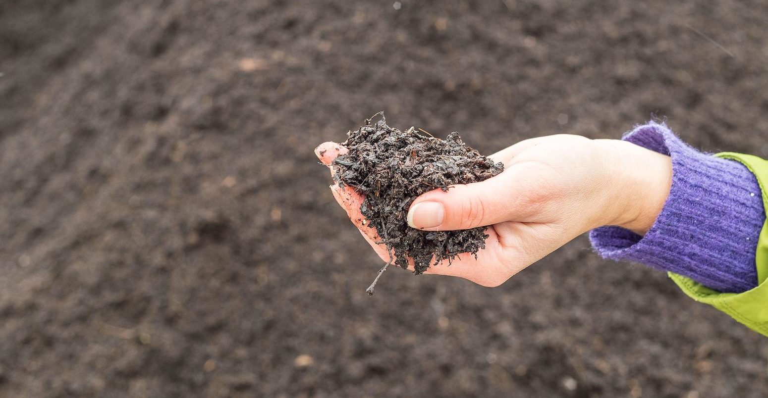 Agronomist examining quality of fertile agricultural earth. Credit: Andriana Syvanych / Alamy Stock Photo.