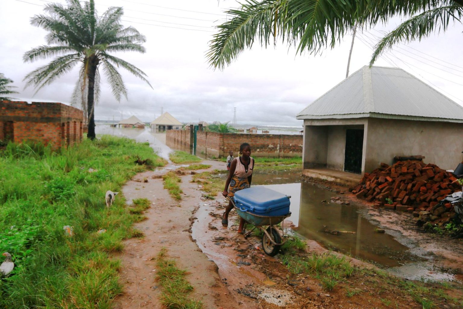 West Africa’s deadly rainfall in 2022 made ‘80 times more likely’ by ...