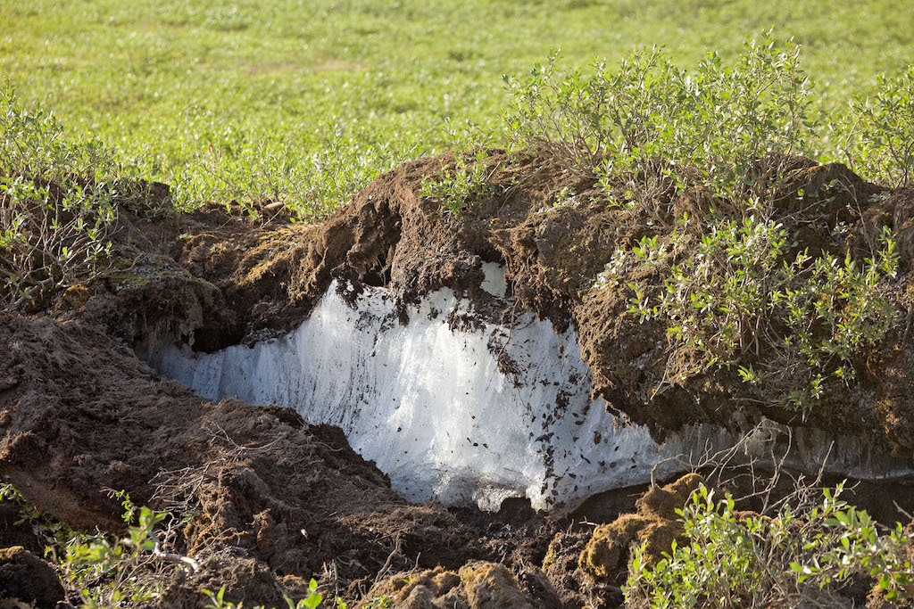 Permafrost covered by soil and vegetation, Brooks Range, Alaska, USA.