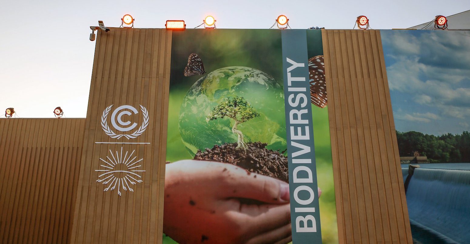 Outside the COP27 venue. Photo by IISD/ENB | Mike Muzurakis.