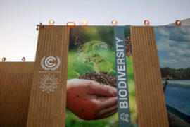 Outside the COP27 venue. Photo by IISD/ENB | Mike Muzurakis.